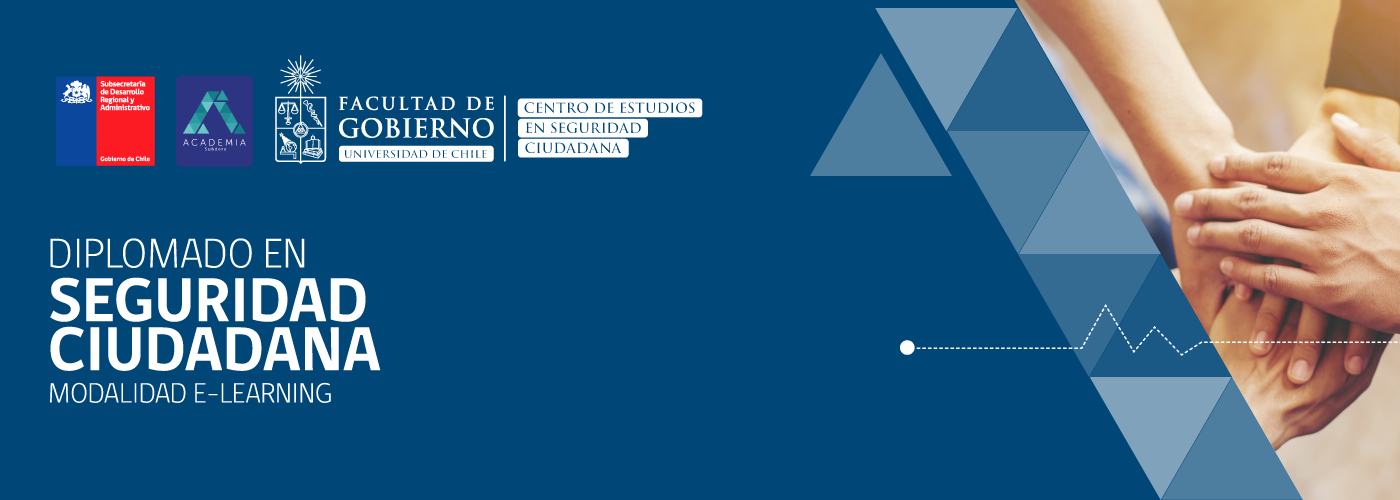 Diplomado Seguridad Ciudadana <span class="highlight">2025</span>